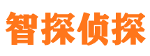 芦山外遇调查取证